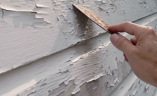 lead-paint-inspections